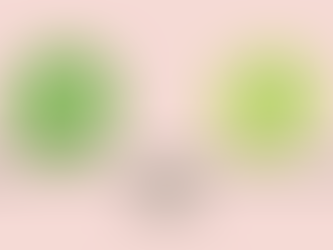 From Emissions to Dollars: The Social Cost of Carbon