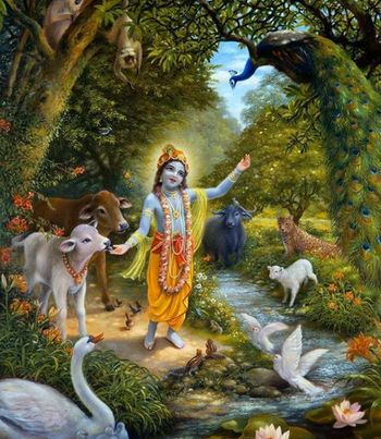 KRSNA ATTRACTS ALL LIVING ENTITIES