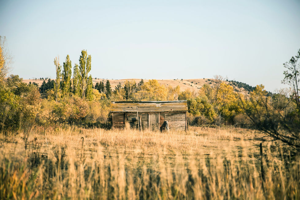 montana13