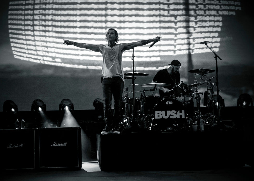 bush15