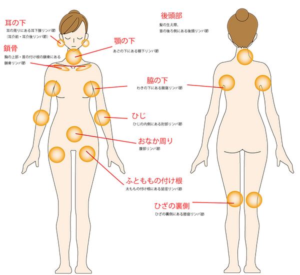 リンパ浮腫外来 まさ乳腺クリニック リンパ浮腫外来 まさ乳腺クリニック