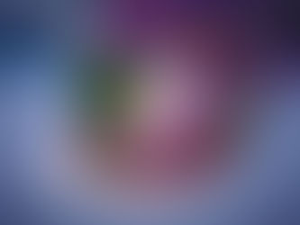 Previsões da Katrina (Fortune)