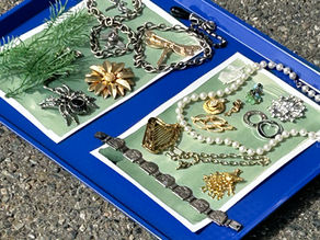 Harness the Sun with Cyanotype Printing