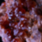 FCM1524-2.jpg