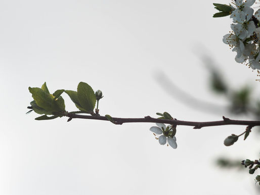 The Importance of Self-Care in Mental Health Recovery