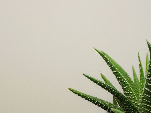 Healthcare and Depression: Finding the Right Support