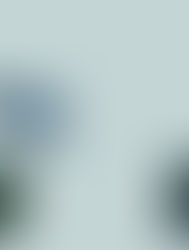 How to Make the Most of Your Therapy Sessions