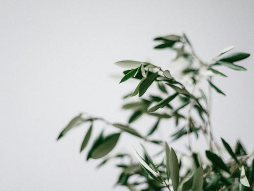 The Cost of Therapy in Denton: What You Need to Know