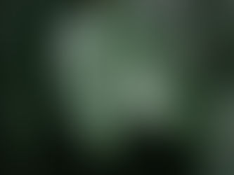 Counseling Services: Strategies for Overcoming Anxiety