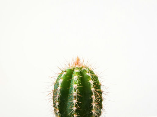 Top 5 Mistakes in Trauma Recovery and How to Avoid Them