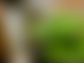 The Impact of Mental Health Support on Workplace Productivity