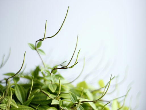 A Checklist for Preparing for Your First Therapy Session