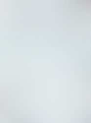 Trauma Recovery: Steps to Healing with Neighbors Counseling