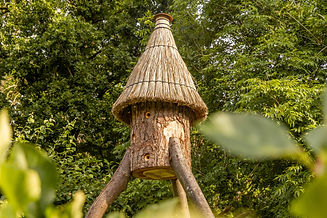 Close up of a rustic garden structure