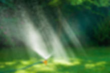 A sprinkler watering a lawn