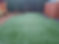 Artificial grass