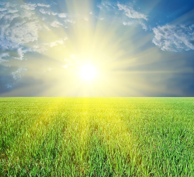 Sun over a field
