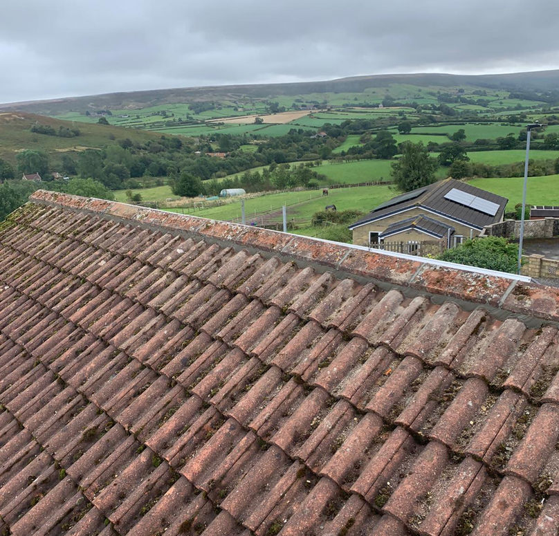 Ridge repairs