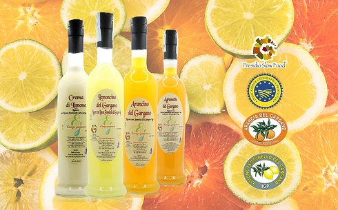 categoria liquori.png