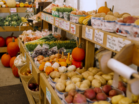 Wellington Country Market | Fall Season