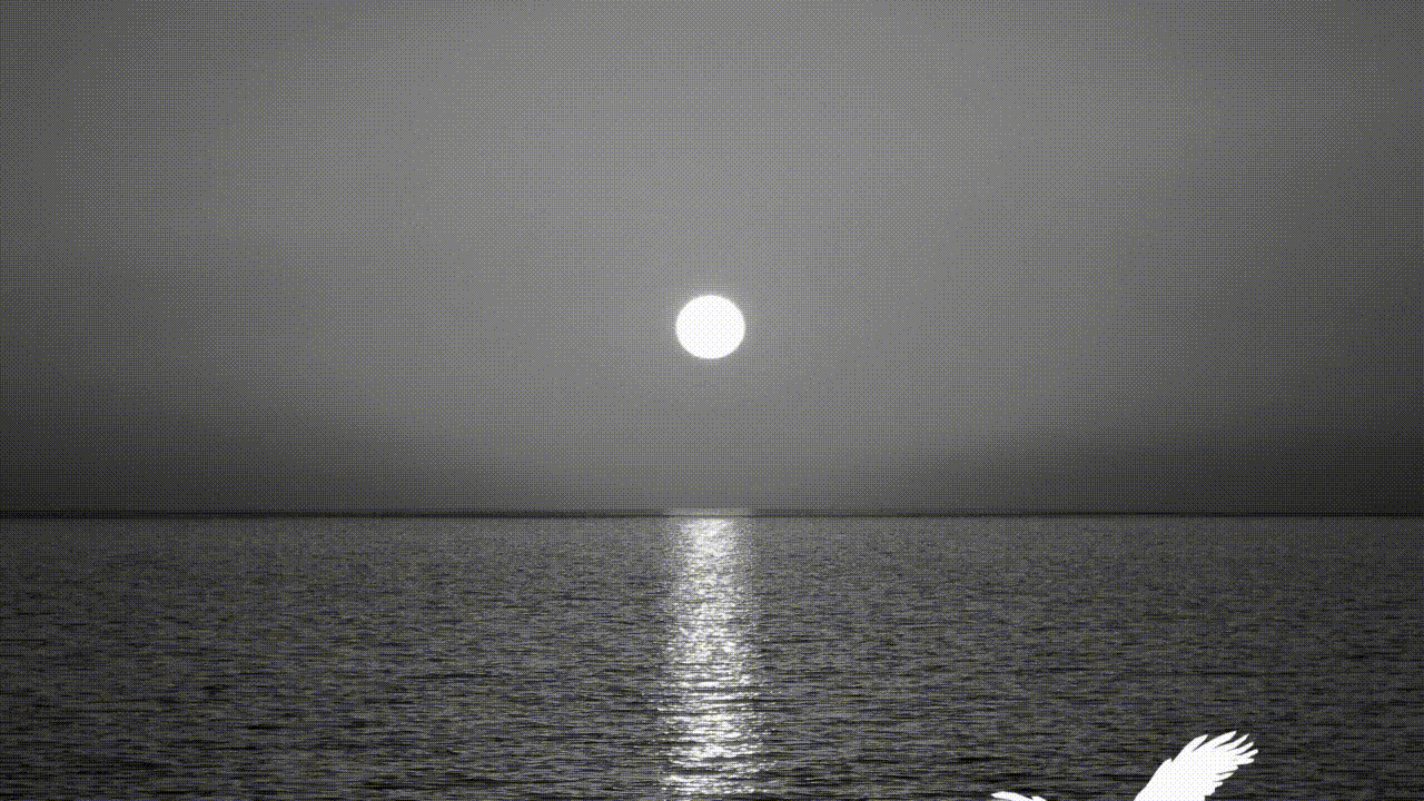 GRAY-sunrise.gif