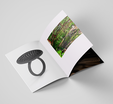 Layout and design for print
(Photoshop, InDesign)