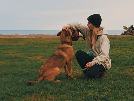 Why Play Is the Most Underrated Training Tool