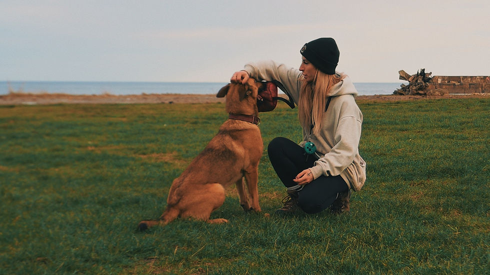 Why Play Is the Most Underrated Training Tool