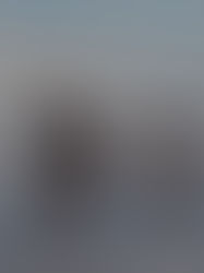 dog trainer in north scotland playing with dogs on the beach