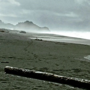 Grey Coast