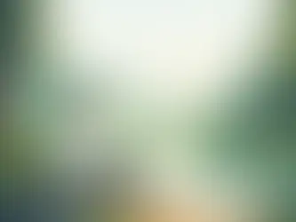 Forest Air Therapy Benefits That Matter