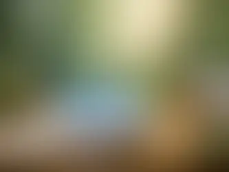 Wellness Device for Immune Support Explained