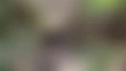 Homem na entrada da mina de ouro abandonada, em Guabiruba