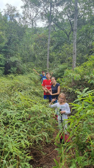 Grupo na trilha da Cachoeira do Maciambu
