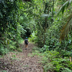 Pessoa caminhando na trilha do Morro São José