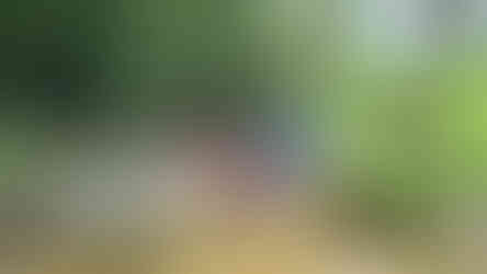 Pessoas em ponte na Trilha da Cachoeira do Cedro