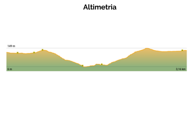 Altimetria Trilha Sertão - Gurita