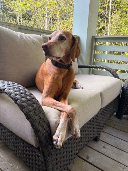 Eddie Lounging Again