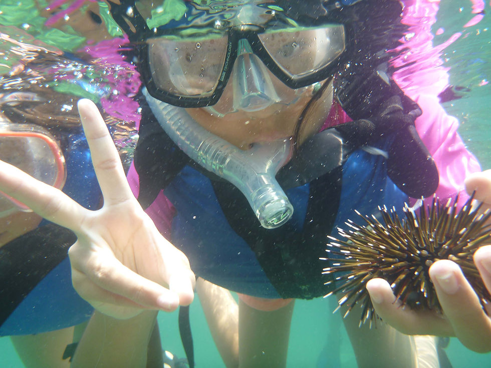 徳島・高知の海でシュノーケルを楽しむ家族。ウニを持ってピースサインをする子供。