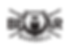 BEAR BARBELL_3