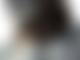 Estoicismo: Filosofia da Resiliência e Virtude