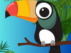 Seja como um Tucano e seus múltiplos significados e sua infinita magia!