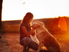 A Importância de Ter um Animal de Estimação