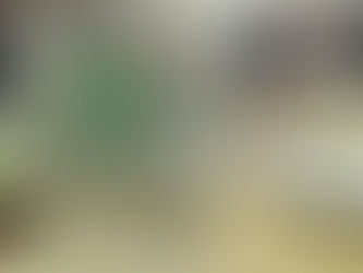 Thai Foods from day 1 to day 27 (August 6-September 2, '17)