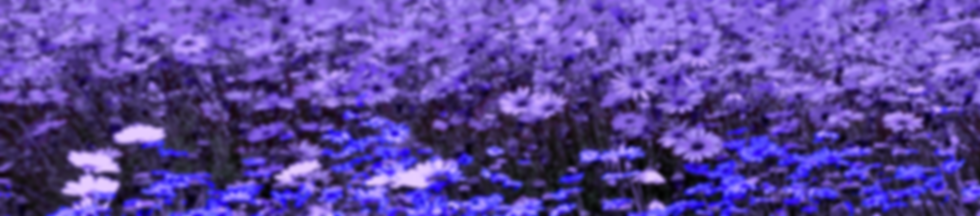アセット 7.png