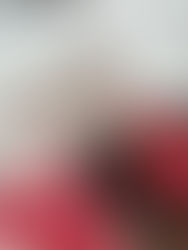 Réunion de préparation du "Black Friday" avec Revellat Électroménager