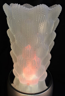 SLA 3D Printed Vase