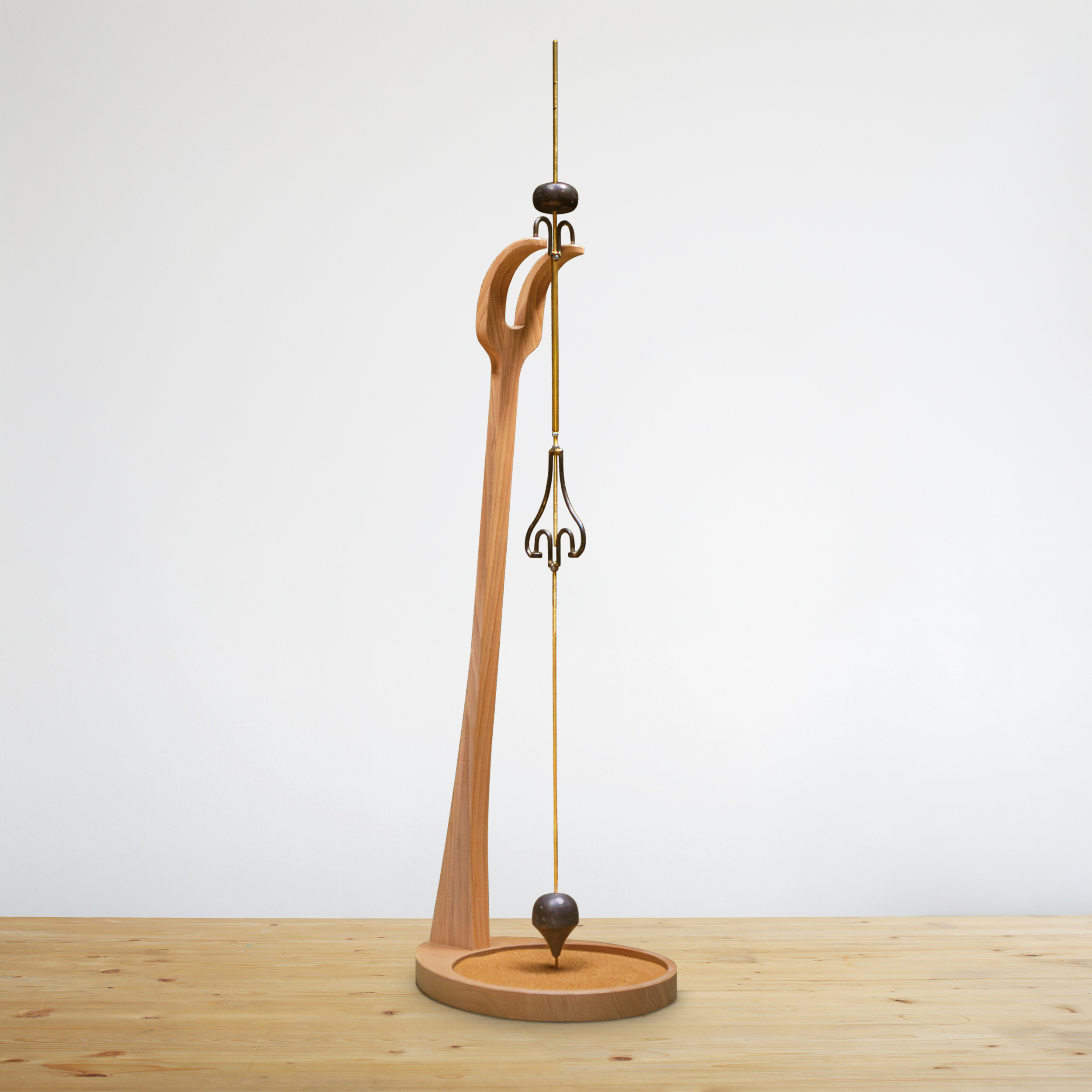 Duplex Pendulum