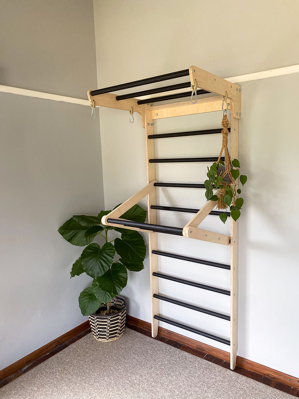 Thumbnail: Adjustable Horizontal Bar