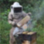 Thumbnail: Cera De Abeja San Ignacio Orgánica 100% Pura, 1kg (11 Lam.)